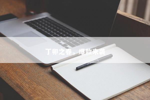 丁卯之春，爆款来袭