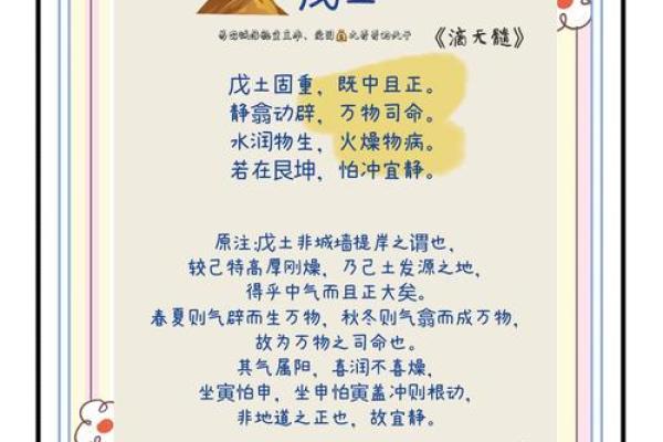 了解天干火之字：你与火焰命运的千丝万缕