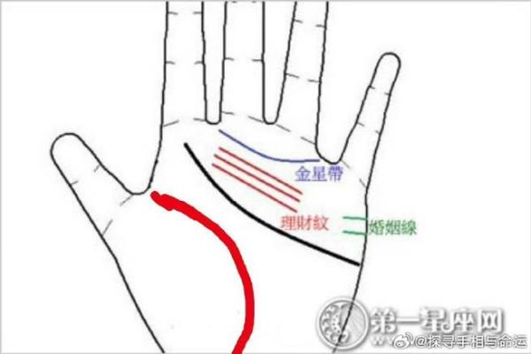 手相解析：男人手有肉竟是财运亨通的征兆