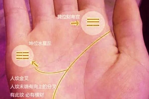 手相揭秘：财运旺衰，一指之间尽知晓