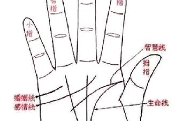 手相揭秘：财运旺衰，一指之间尽知晓
