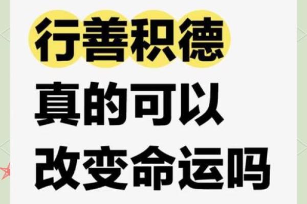 辰见未命理：揭开命运的神秘面纱