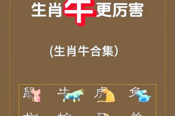 牛年必看属牛与牛的完美搭配，运势翻倍的秘密