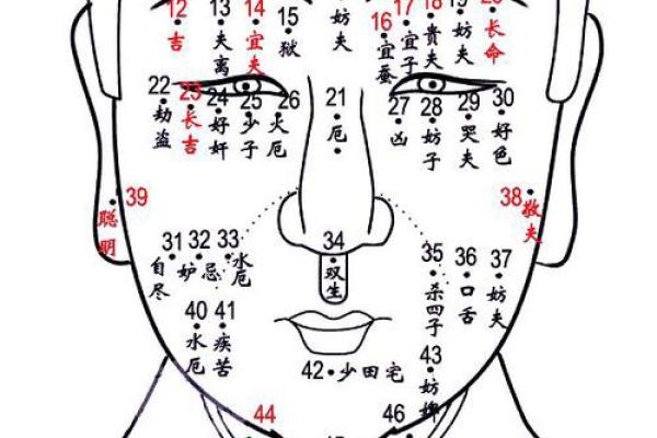 女性面相：揭秘痣的分布与命运之谜，瞬间了解她的运势