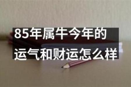 牛年必看属牛与牛的完美搭配，运势翻倍的秘密