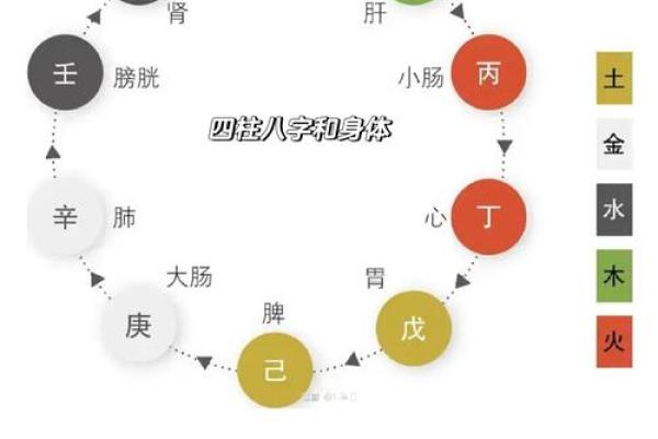 男命天干如何左右一生运势，揭秘其中奥秘