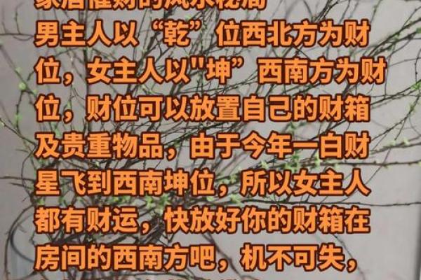 别墅风水秘籍：打造您的风水宝地，财富运势双丰收