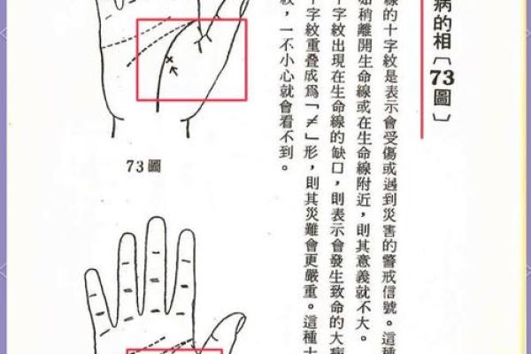揭秘手相奥秘：圆形图解带你走进手相世界的神奇之门