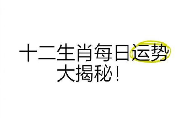 十二生肖大揭秘：揭秘日生肖属相背后的神奇力量