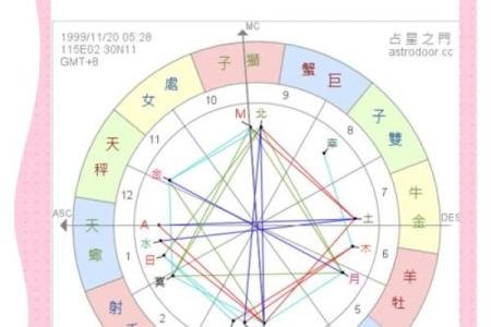 梅花易排盘软件揭秘命理奥秘，让你走在好运前沿