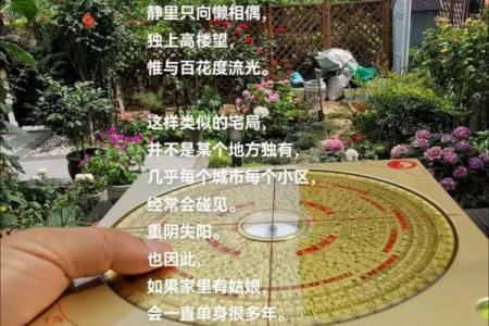 别墅风水秘籍：打造您的风水宝地，财富运势双丰收