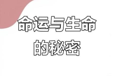 揭秘：特别命理，揭秘命运背后的惊人秘密