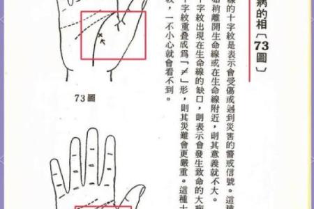 揭秘手相奥秘：圆形图解带你走进手相世界的神奇之门