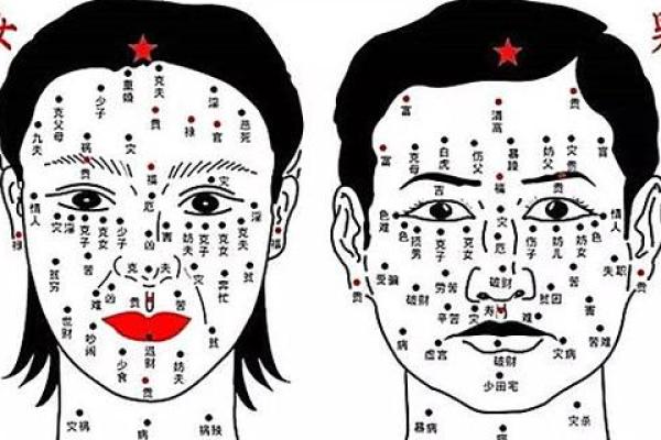 痣相探秘：男女不同痣相背后的含义