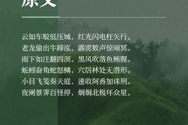 慢牛蹄声渐远，静待金猪跃龙门