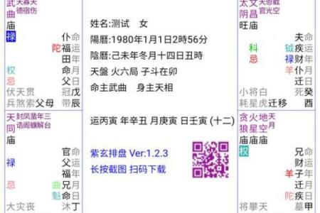 流月紫微命盘排盘技巧：让你一眼看穿未来运势变化