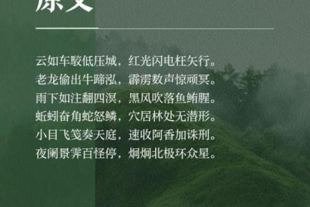 慢牛蹄声渐远，静待金猪跃龙门