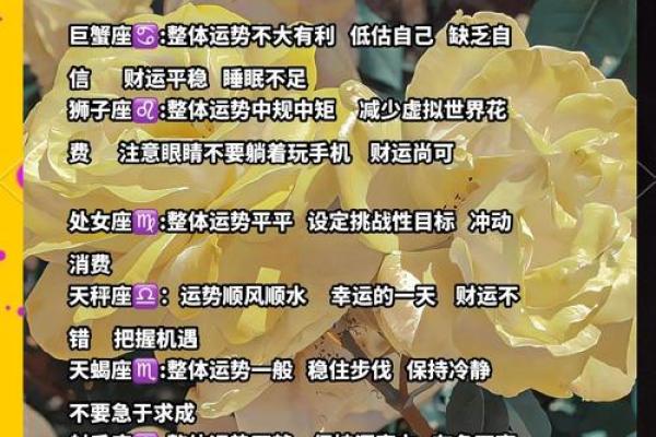 阴历8月10号揭秘：今日星座运势大揭秘