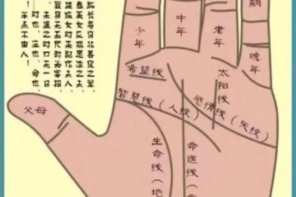 握住幸福命脉：揭秘最吉祥的手相