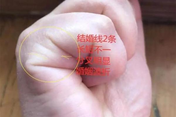 握住幸福命脉：揭秘最吉祥的手相