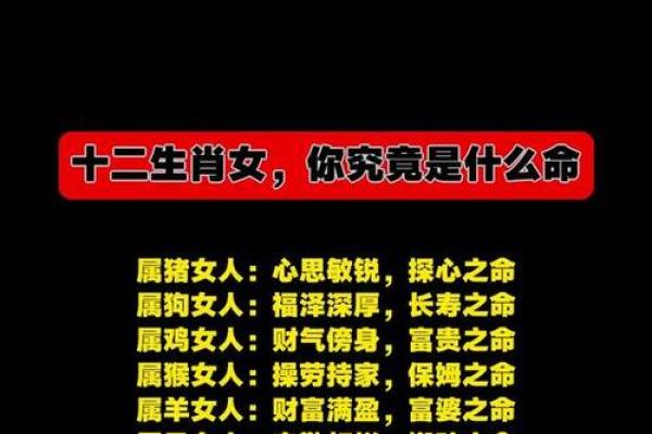 揭秘：你究竟是什么生肖，命运如何？