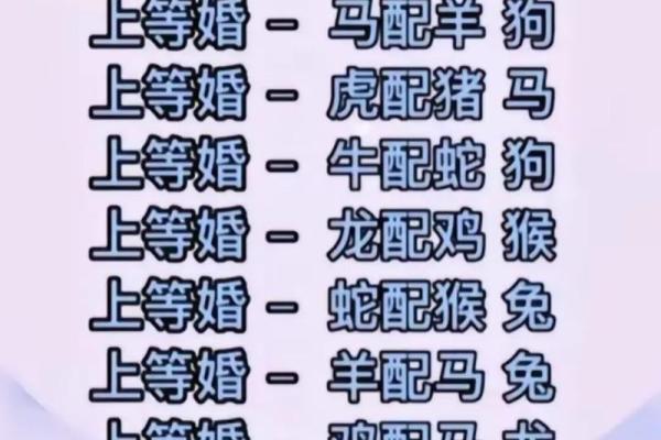 揭秘：你究竟是什么生肖，命运如何？
