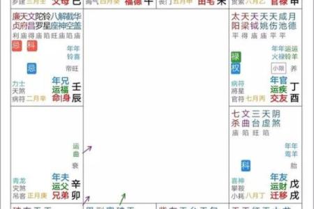 网络紫薇排盘分析：最全指南助你洞察人生关键点