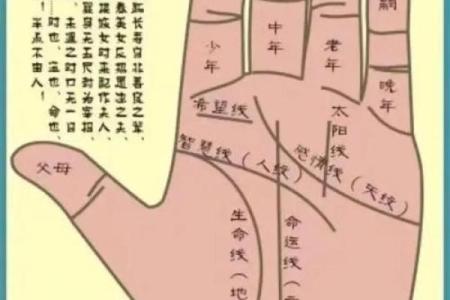 握住幸福命脉：揭秘最吉祥的手相