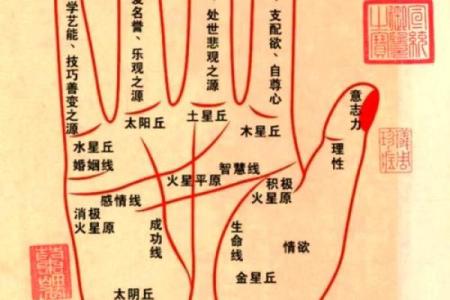 手相揭秘：一招看透子女运势，揭秘你的宝宝缘分