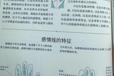 揭秘梦境：为何你梦见别人看你手相？手相里的惊人秘密