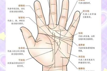 揭秘：智慧线长短之谜，短命还是长寿？手相揭秘，别再错过