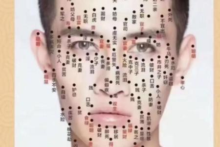 神奇头相秘籍：头发痣相教你如何掌握自己的命运