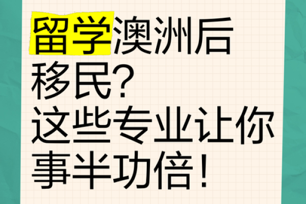 携手牛力，这些搭档让你事半功倍