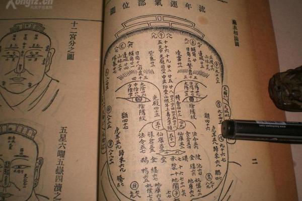 麻衣老先生亲传：痣相算命，揭秘你的运势秘密