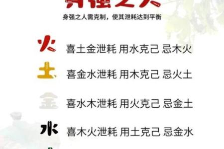 凌五行属性如何改变你的生活