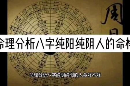 纯阴八字的人生挑战与突破，如何逆袭命运