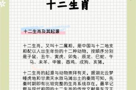 十二生肖塔：揭秘生肖背后的神秘力量
