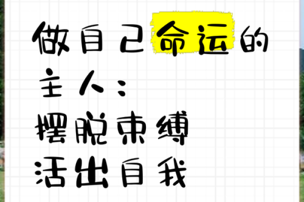 打破命运束缚：命理书籍教你逆袭人生