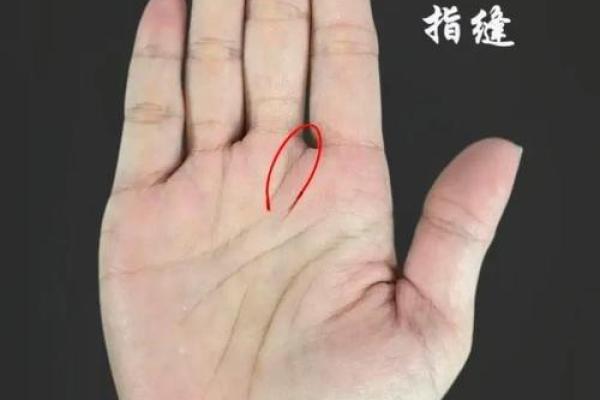 火型掌揭秘：揭秘手相中的财富与激情