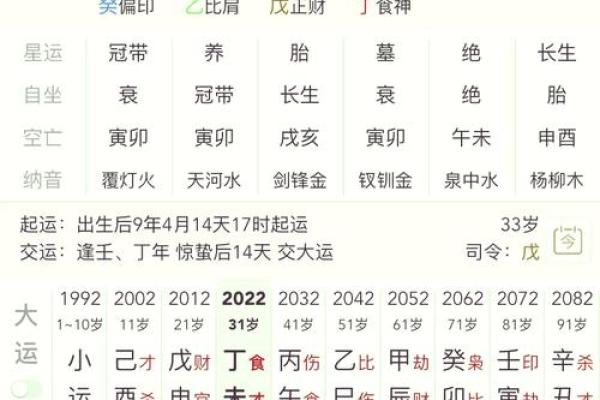 文王神卦排盘软件揭秘：如何通过它精准预测人生走向