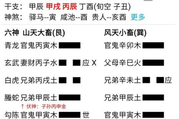 文王神卦排盘软件揭秘：如何通过它精准预测人生走向