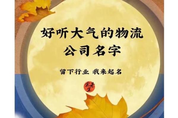 这几个快消品物流公司名字灵感，助你脱颖而出
