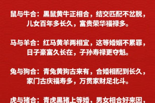 蛇狗相配，幸福指数飙升？揭秘生肖配对新趋势