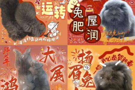 兔气扬眉，狗旺新春：2023生肖兔狗大碰撞，谁将笑傲江湖？
