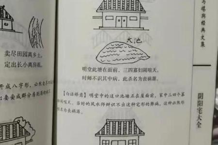 明堂布局，客厅风水秘籍：打造家居旺运宝地