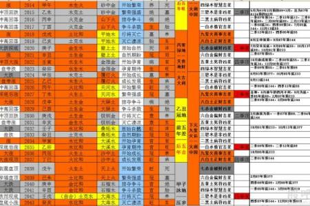 面相揭秘：天涯大师带你解码命运密码