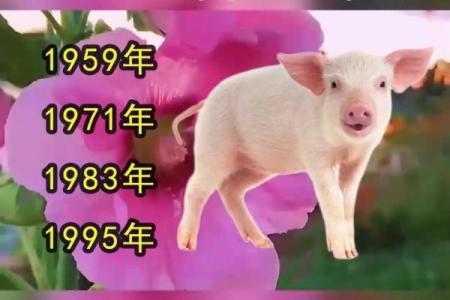 猪你幸福，狗年旺旺——十二生肖祝福大串联