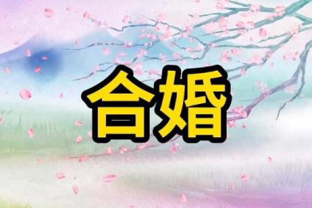 八字合婚：夫妻缘分的天作之合