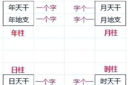 台湾命理大师廖嘉宾揭秘命运的奥秘