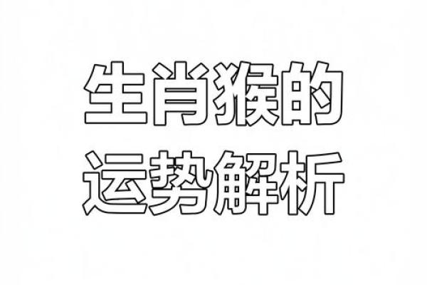 96年属猴的快来，揭秘最旺运势的属相搭配